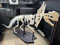 Dinosaur Skeleton