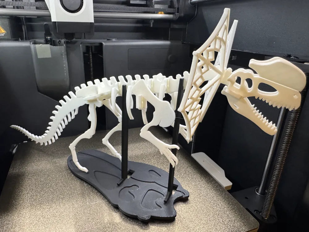 Dinosaur Skeleton