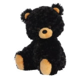 Black Bear Cub