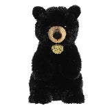 American Black Bear Cub